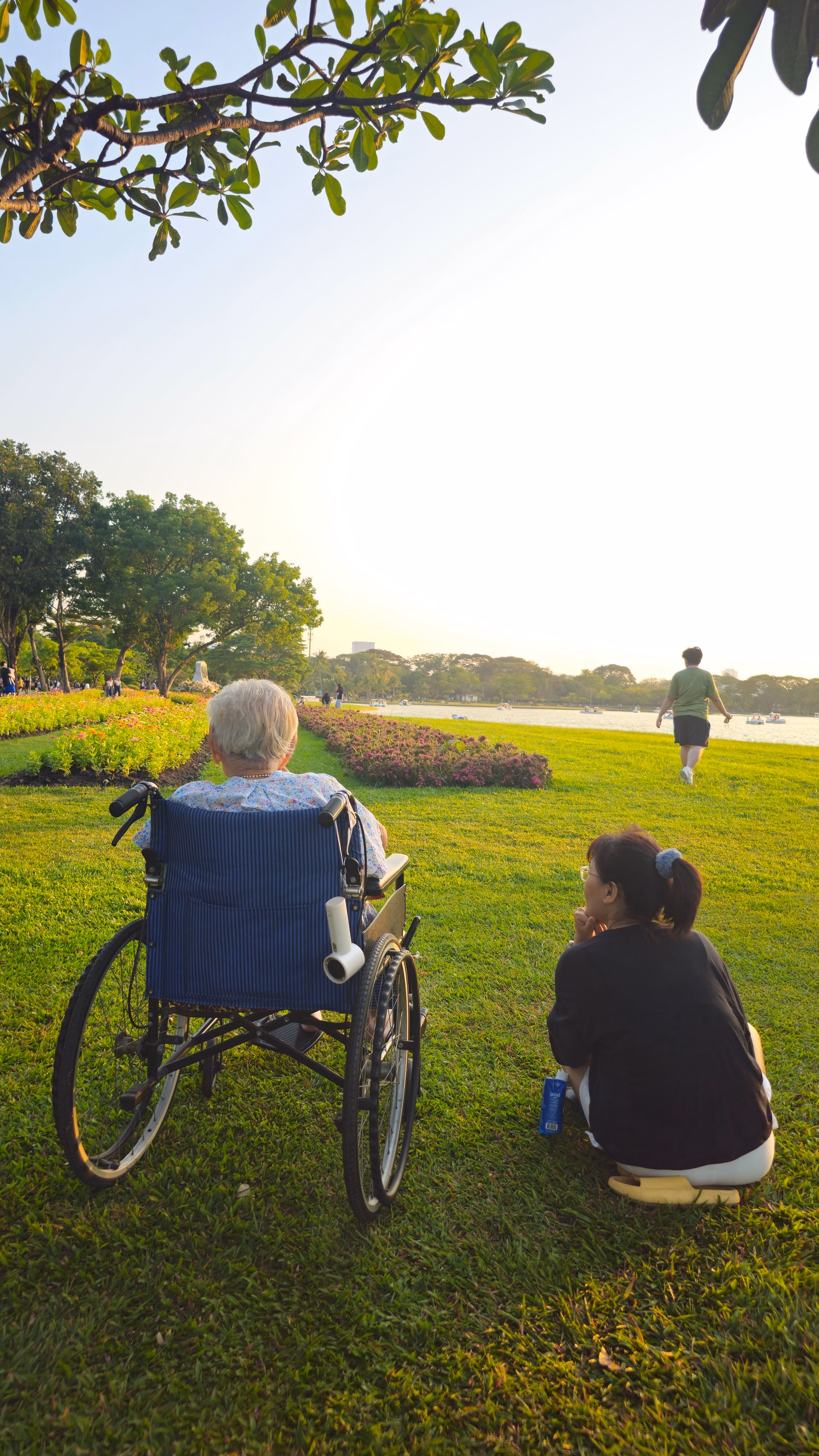Elderly person in wheelchair beside a young woman sitting on grass in park near lake at sunset.